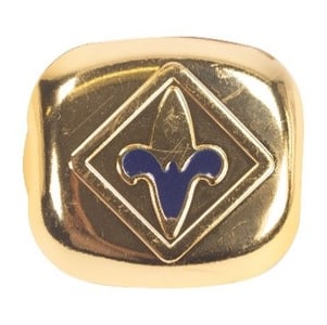 Blue Webelos neckerchief slide
